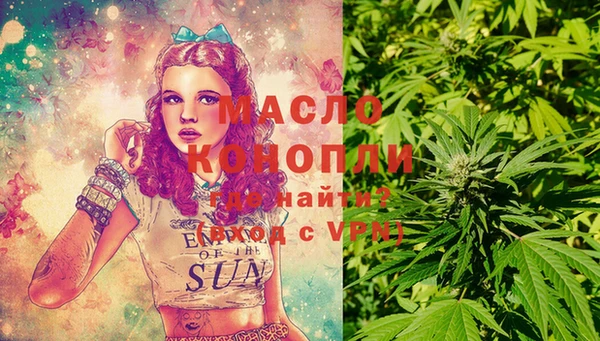 сатива Балахна