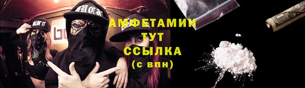 сатива Балахна
