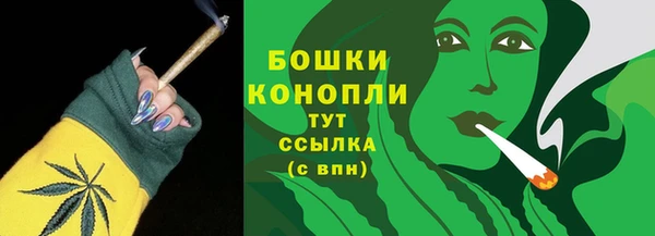 сатива Балахна