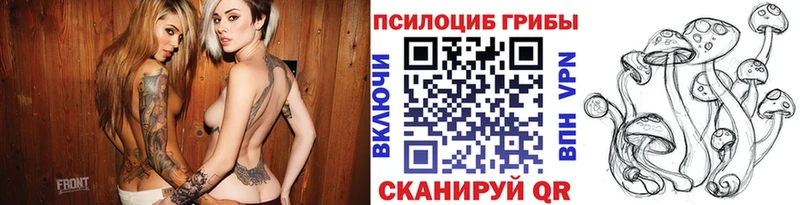 Купить  Ленинск-Кузнецкий  Галлюциногенные грибы мухоморы 